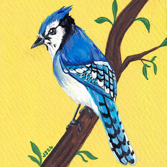 Blue Jay | Original Painting