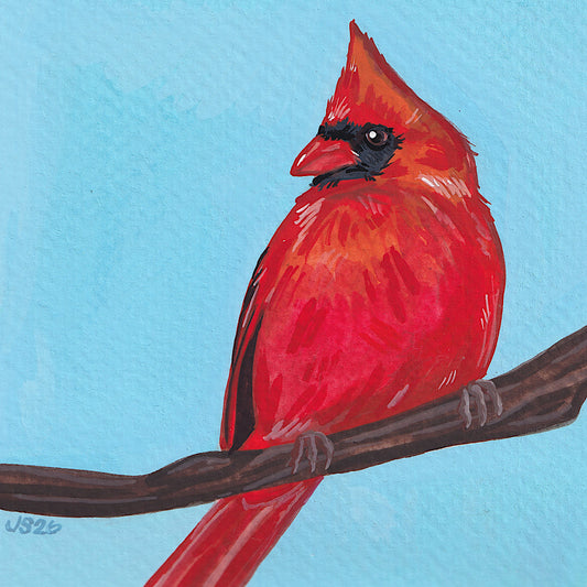 Cardinal | Original Painting