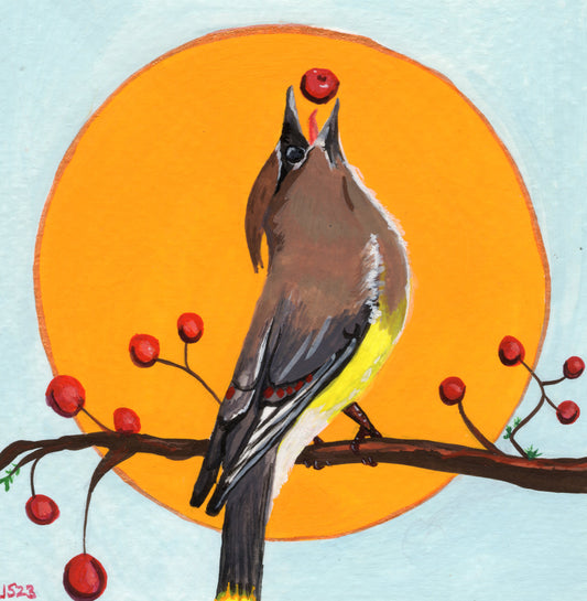 Cedar Waxwing | Original painting