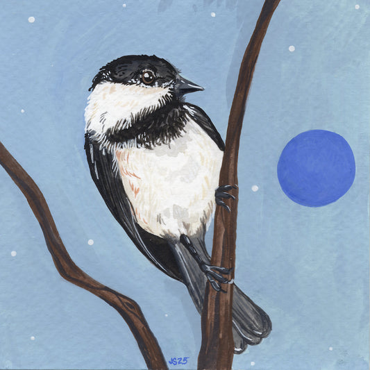 Chickadee | Original Painting