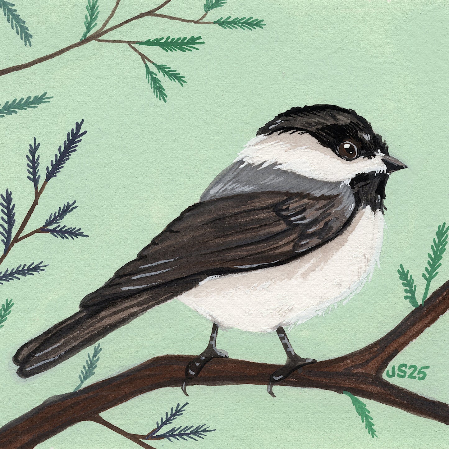Chickadee II | Original Painting