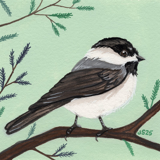 Chickadee II | Original Painting