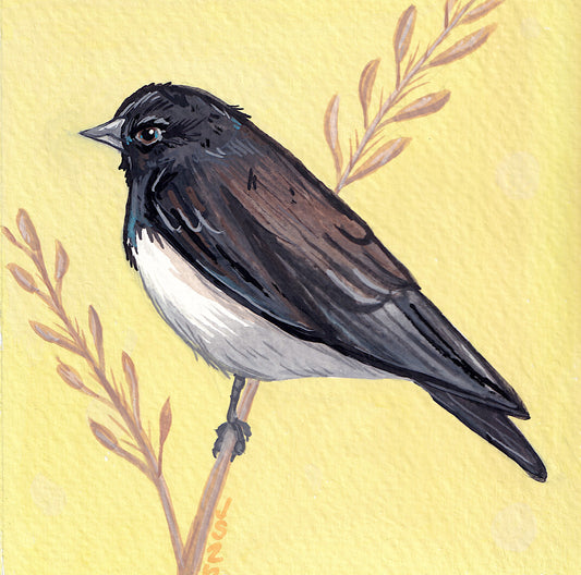 Dark-Eyed Junco | Original Painting