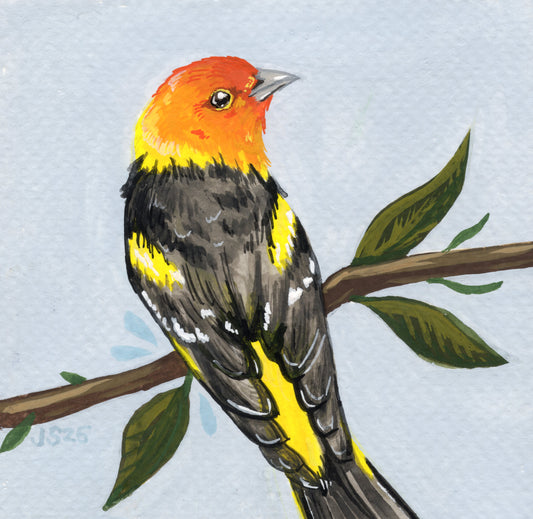 Western Tanager | Original Painting