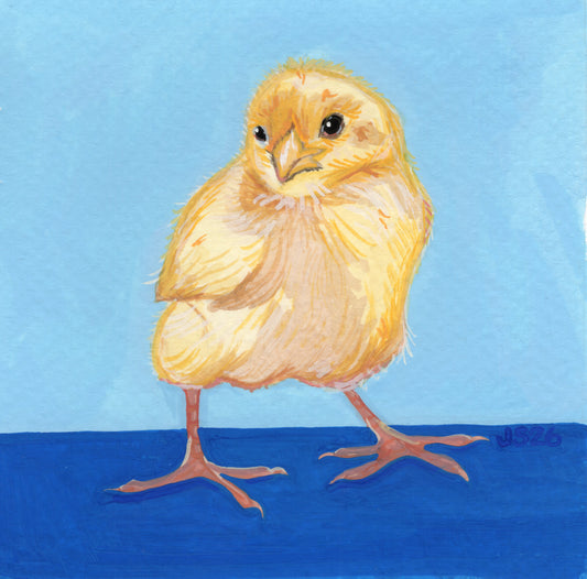 Chick | Original Painting