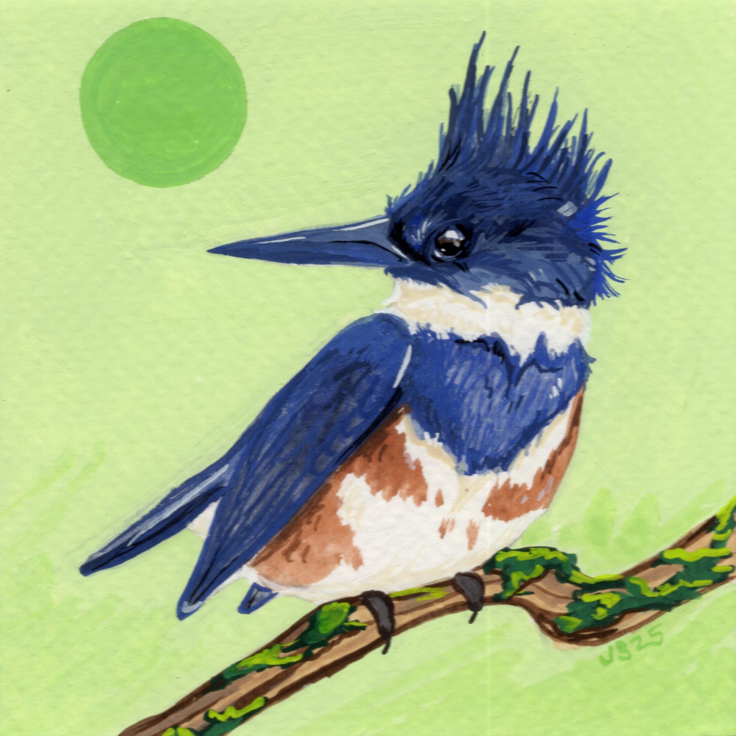 Kingfisher | Original Painting
