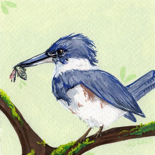 Kingfisher III | Original Painting