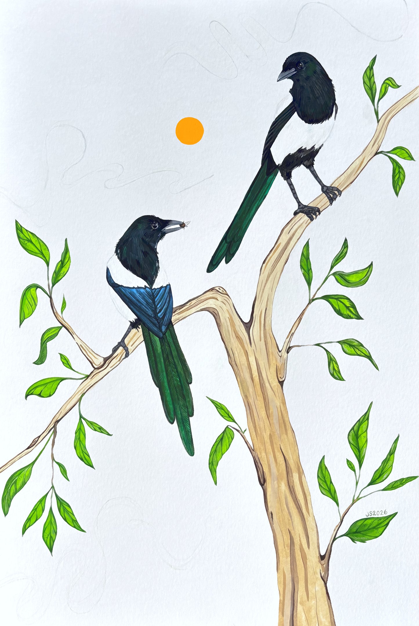 Magpies in Green | Original Painting