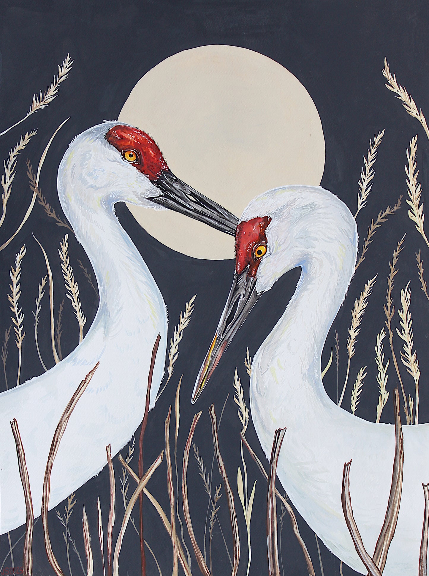 Sandhill Cranes Card