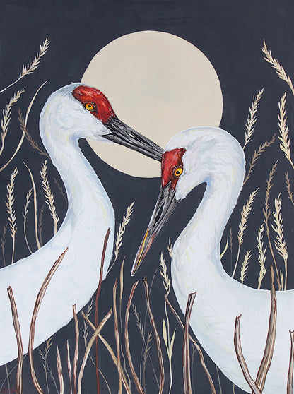 Sandhill Cranes Card